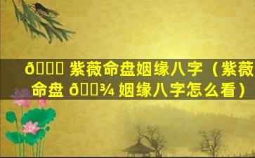 🐟 紫薇命盘姻缘八字（紫薇命盘 🌾 姻缘八字怎么看）